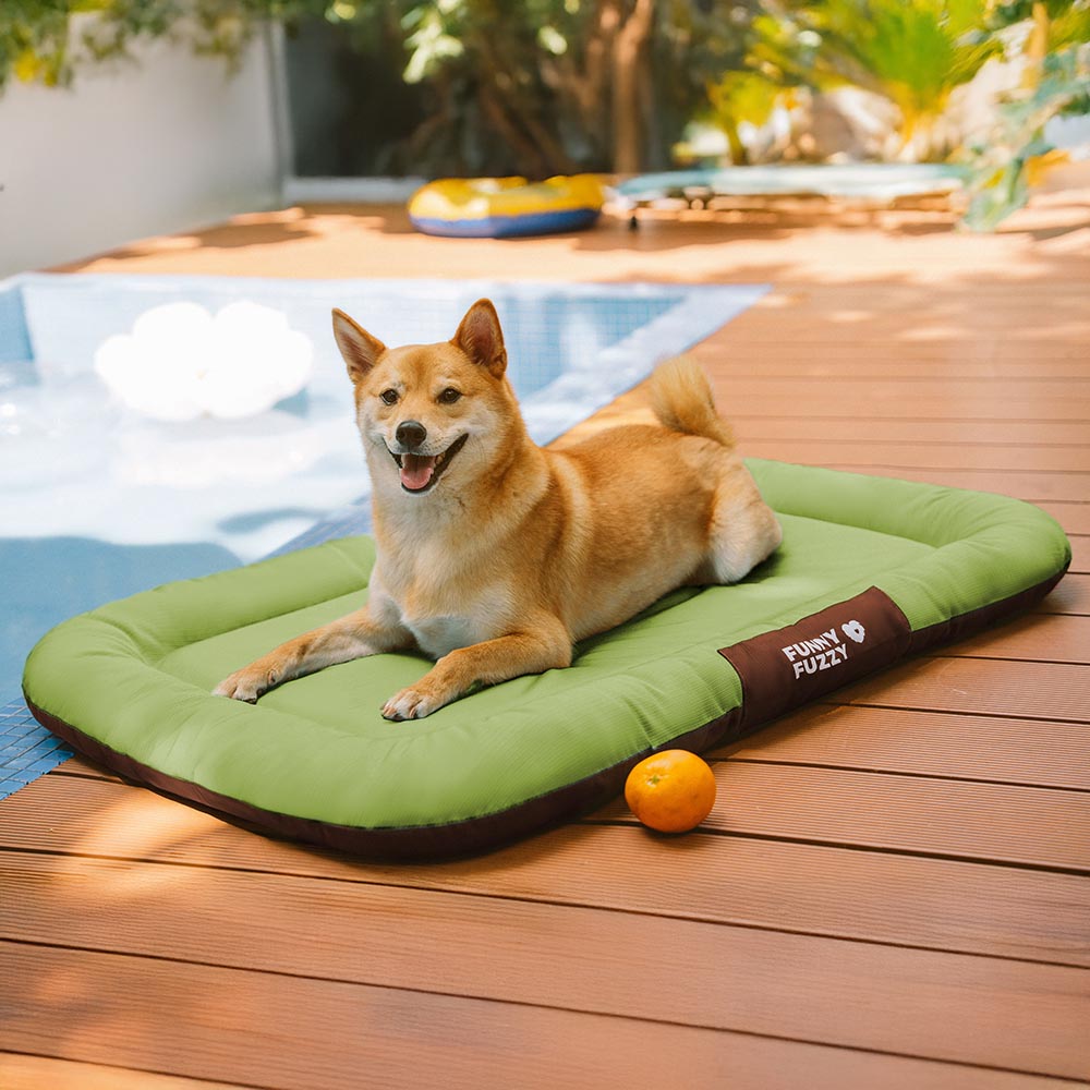 ™Orthopet | מזרן צבעוני אורתופדי לכלבים – עמיד למים ושריטות, לשימוש חיצוני