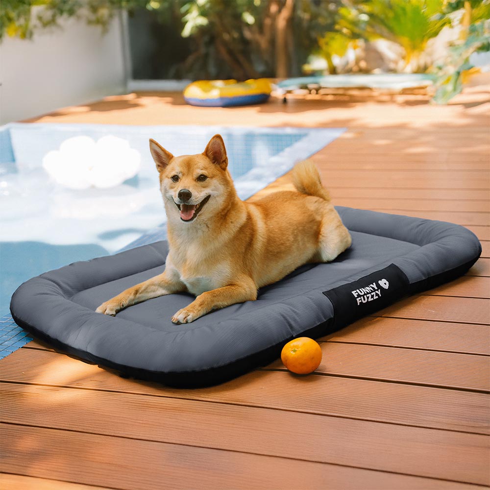 ™Orthopet | מזרן צבעוני אורתופדי לכלבים – עמיד למים ושריטות, לשימוש חיצוני