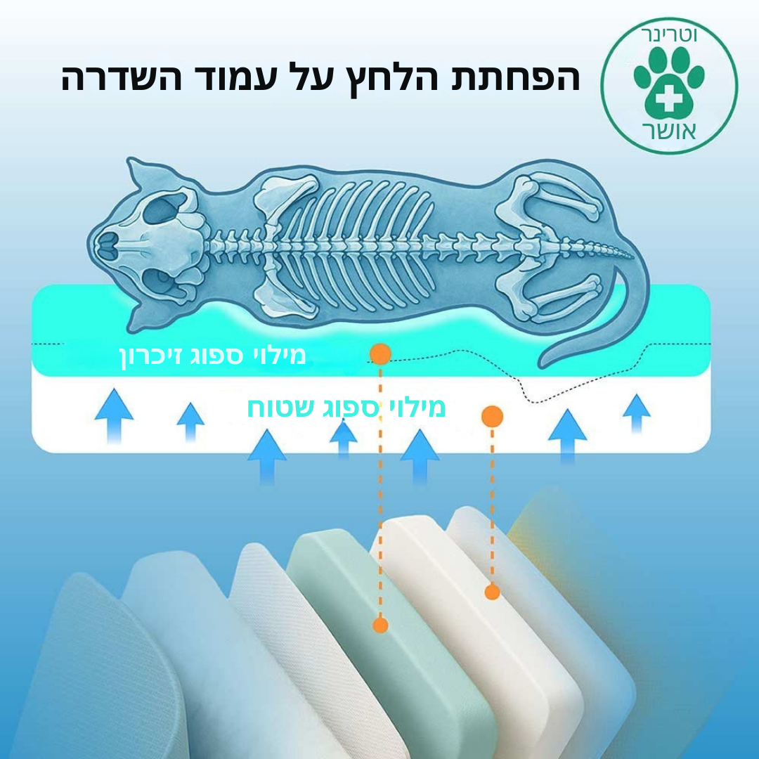 ™Orthopet | מזרן צבעוני אורתופדי לכלבים – עמיד למים ושריטות, לשימוש חיצוני