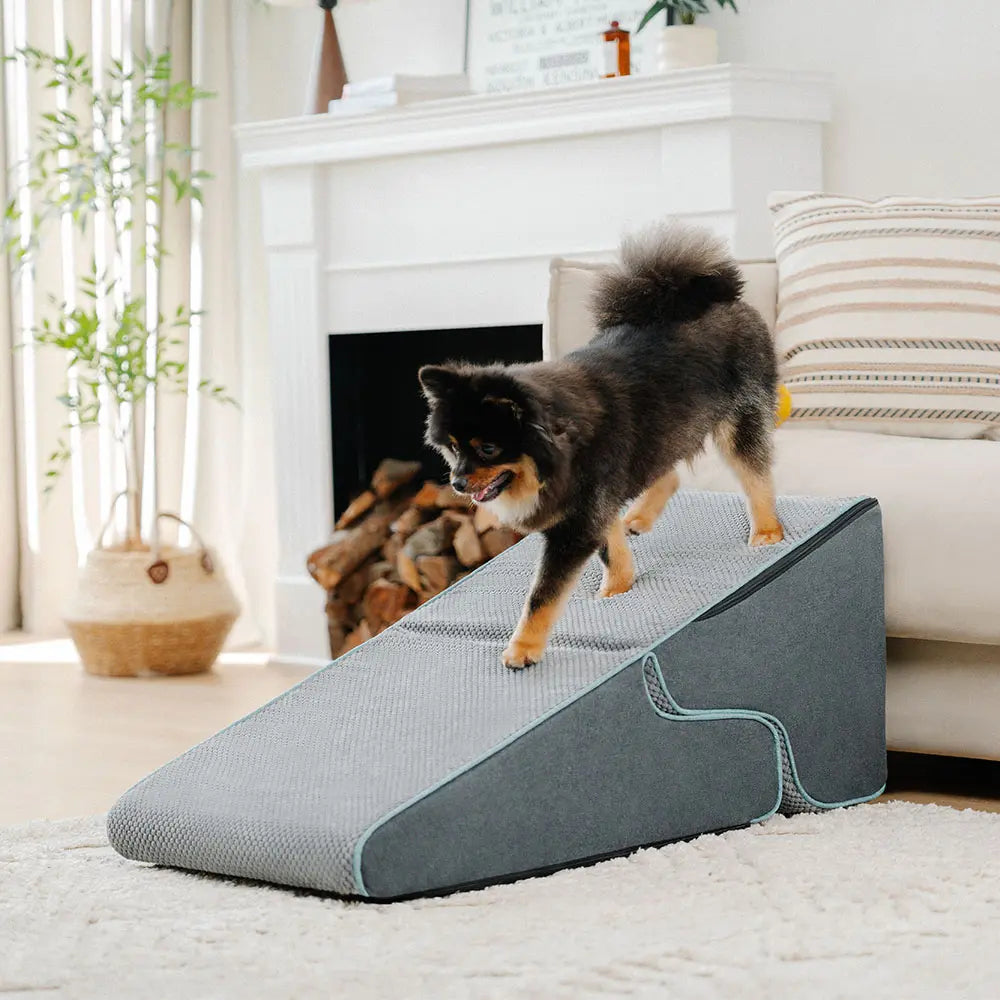 ™Flexipaw | מדרגות לכלבים עם ראמפ 2 ב-1 - הצעת דואו מיוחדת - קנו 1 ב-₪59.95 - וקבלו 2 רק ב-₪99.95