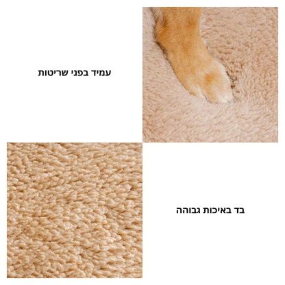 ™Pawstep | רמפה/מדרגות רכות לכלבים – עלייה נוחה למיטה ולספה, הגנה על המפרקים