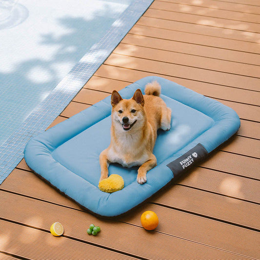™Orthopet | מזרן צבעוני אורתופדי לכלבים – עמיד למים ושריטות, לשימוש חיצוני