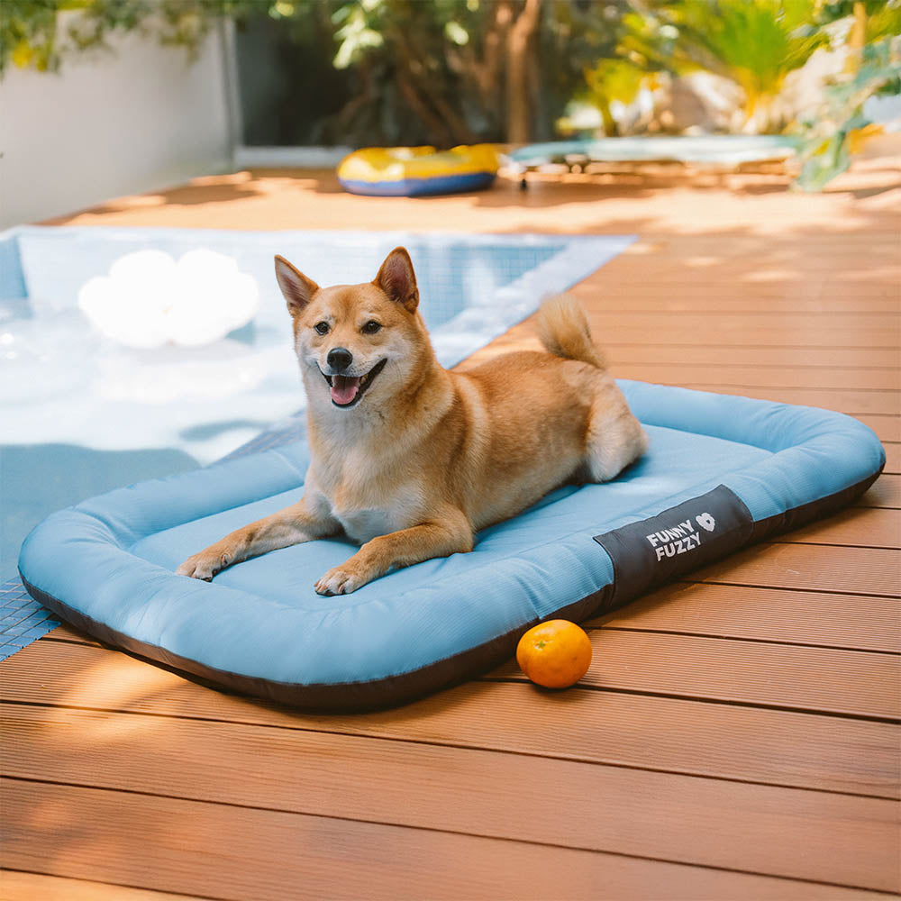 ™Orthopet | מזרן צבעוני אורתופדי לכלבים – עמיד למים ושריטות, לשימוש חיצוני