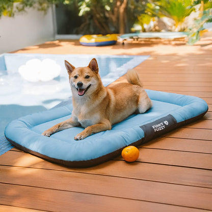 ™Orthopet | מזרן צבעוני אורתופדי לכלבים – עמיד למים ושריטות, לשימוש חיצוני